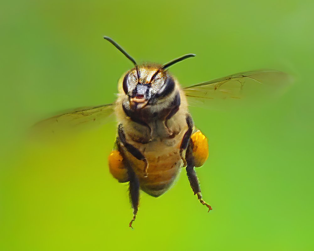 Photograph by Leka Huie