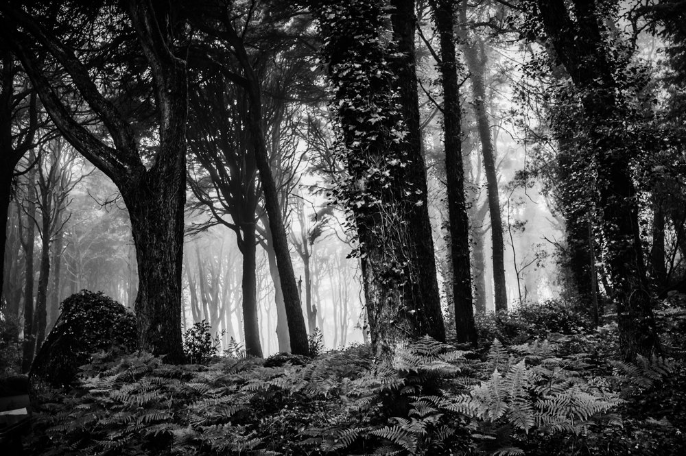 Sintra's Mountain III