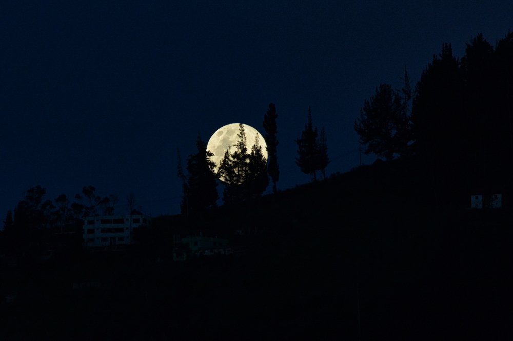 Photograph by Hugo Noboa