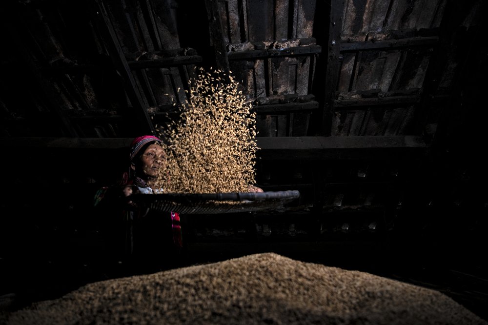 Photograph by al Hajri salem