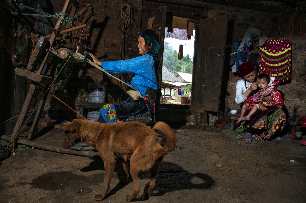 Photograph by al Hajri salem