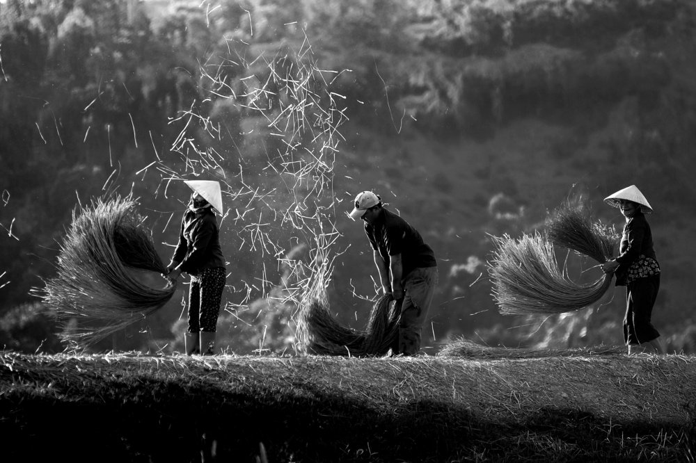 Photograph by LE CONG BINH