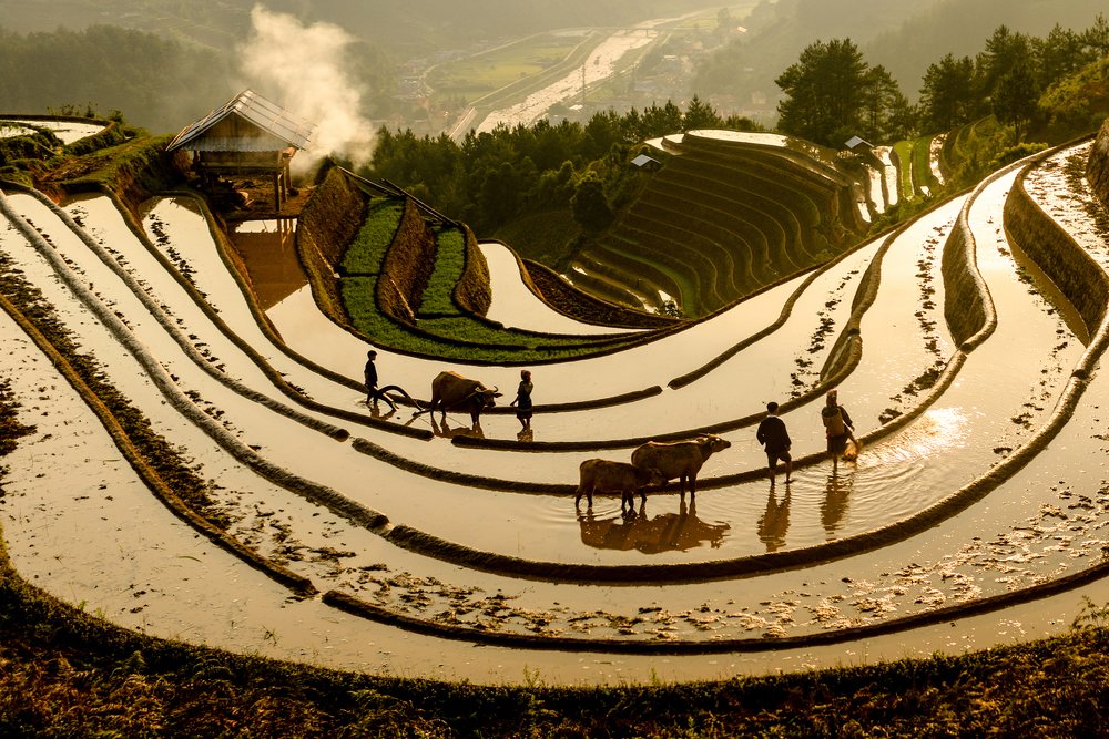 Photograph by LE CONG BINH