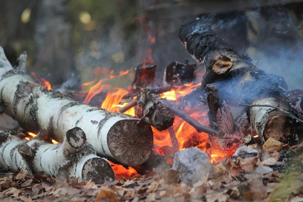 Photograph by Елена Верховская