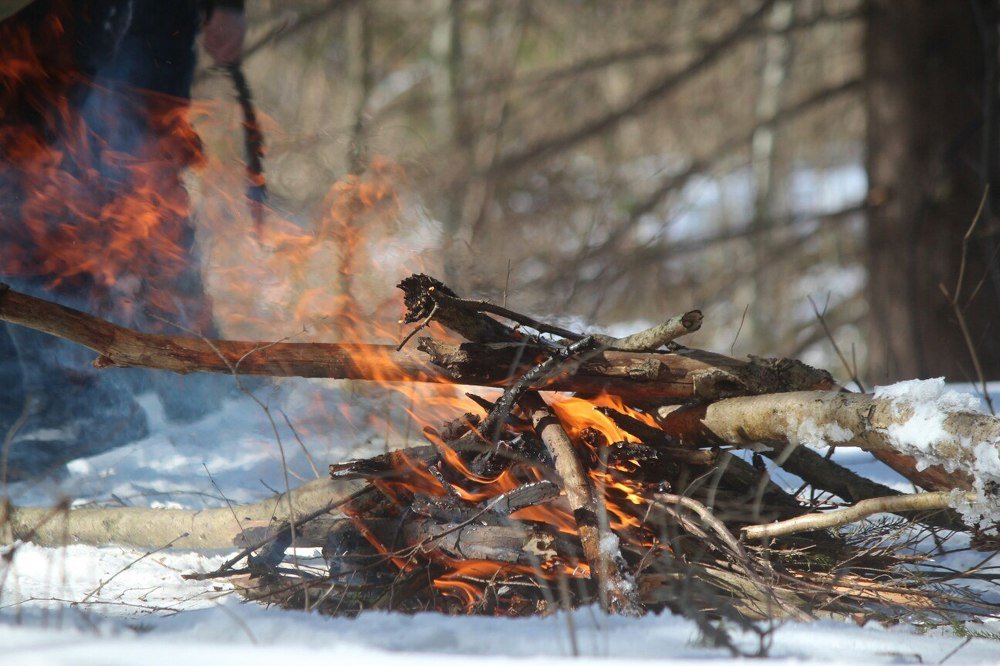 Photograph by Елена Верховская