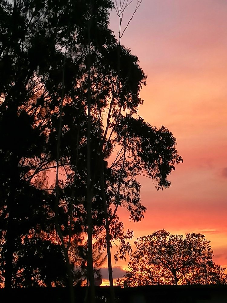 Sunset in Costa Rica