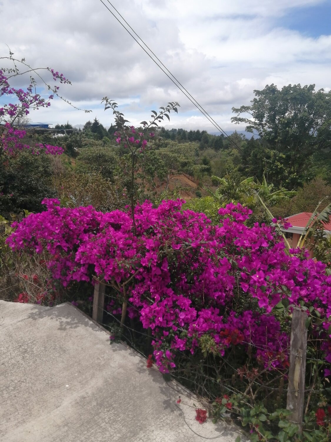 Photo #4617076