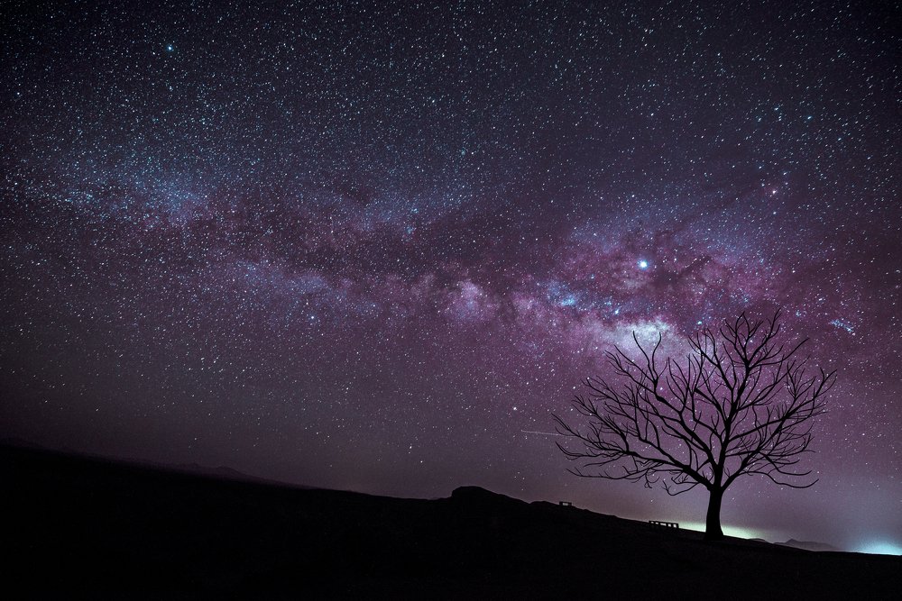 Lonely tree against the milky way galaxy