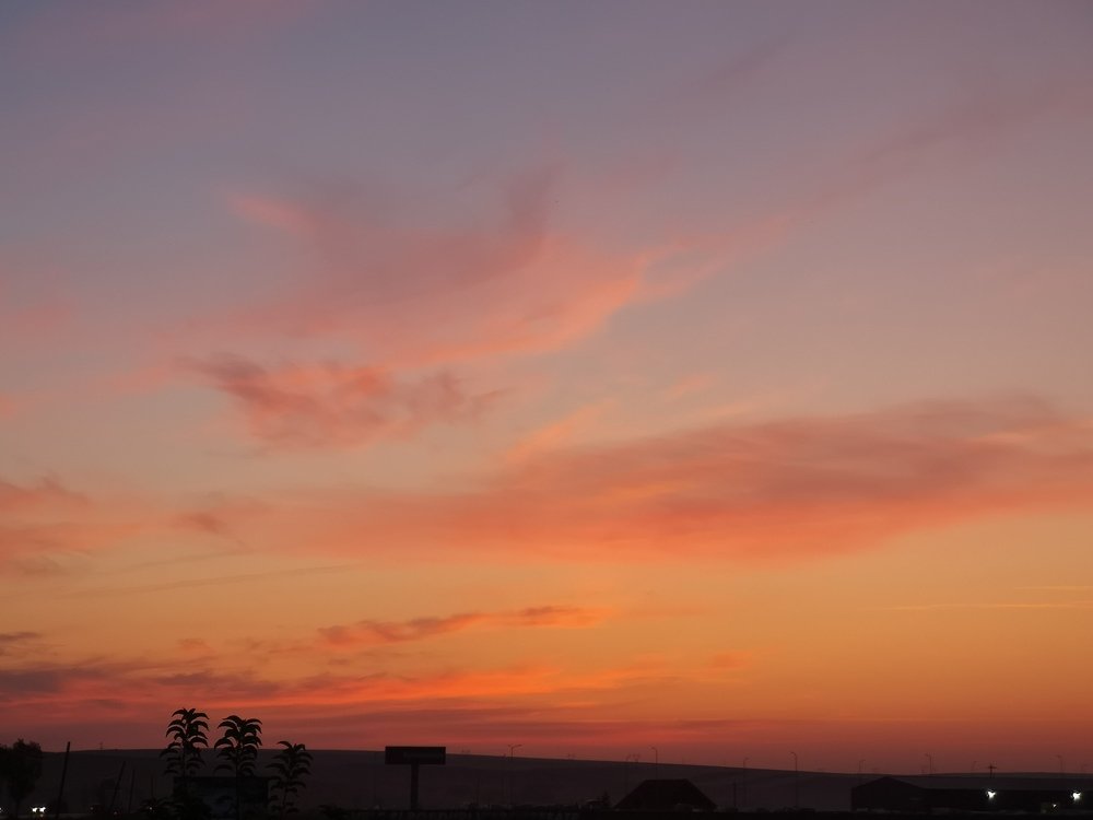 Photograph by Stefan Apostol