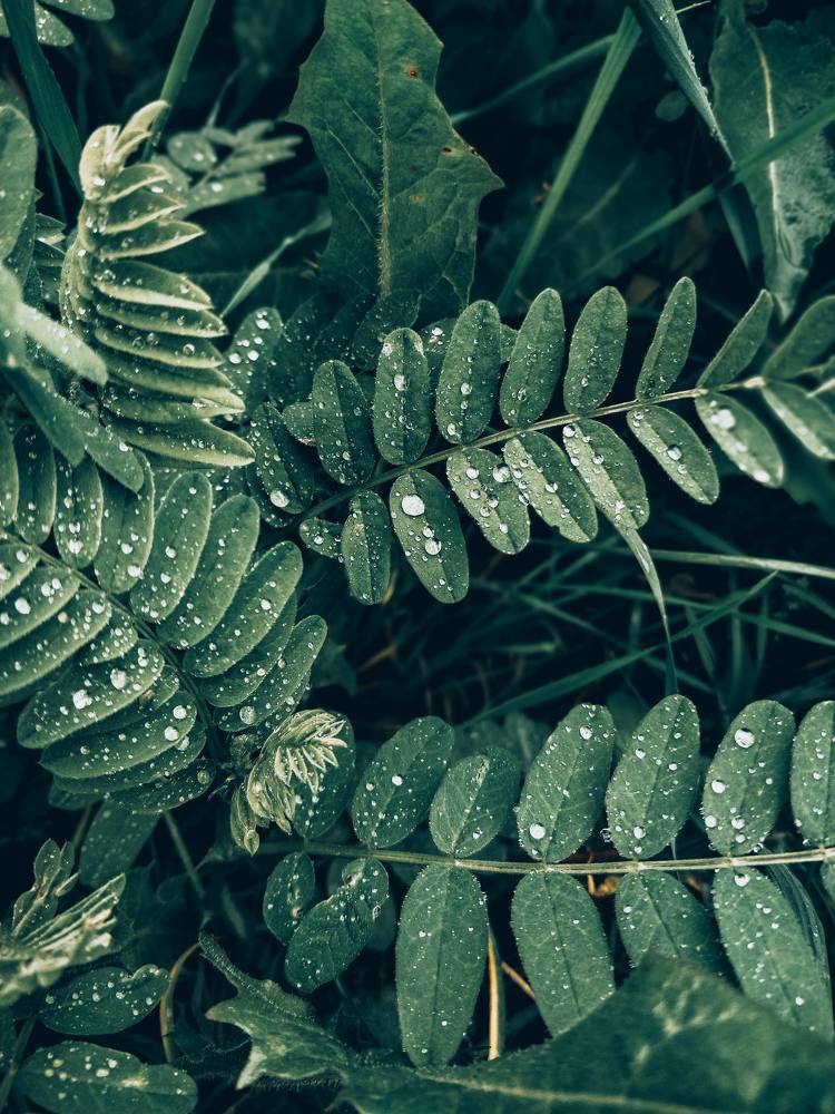 Photograph by Павел Шевель