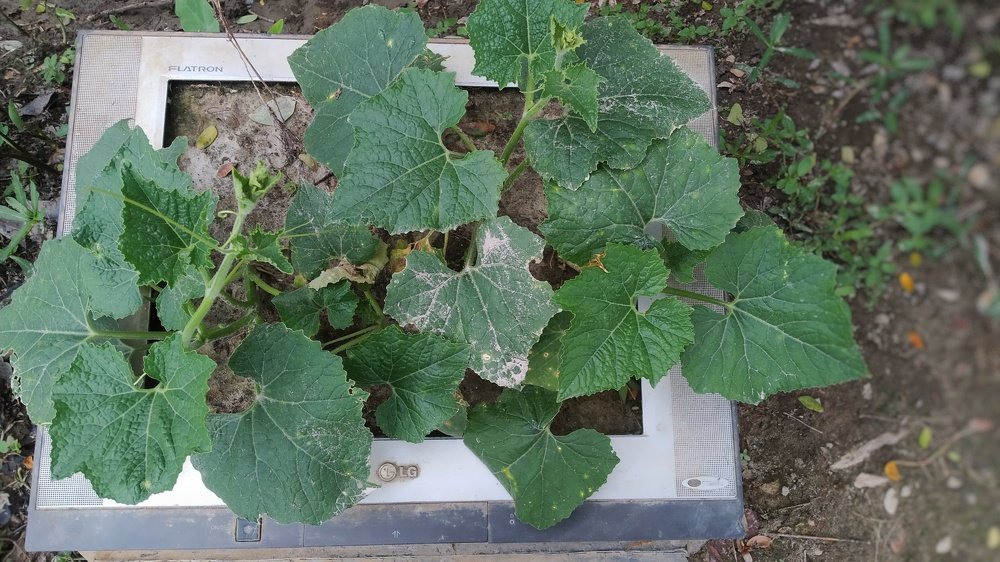 Photograph by nadirujaman hemal fakir fakir