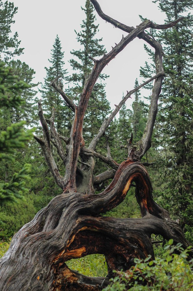 Photograph by Константин Искучеков