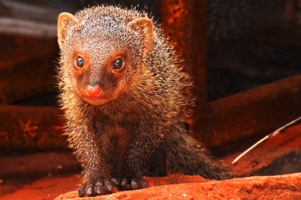 A journey to new world