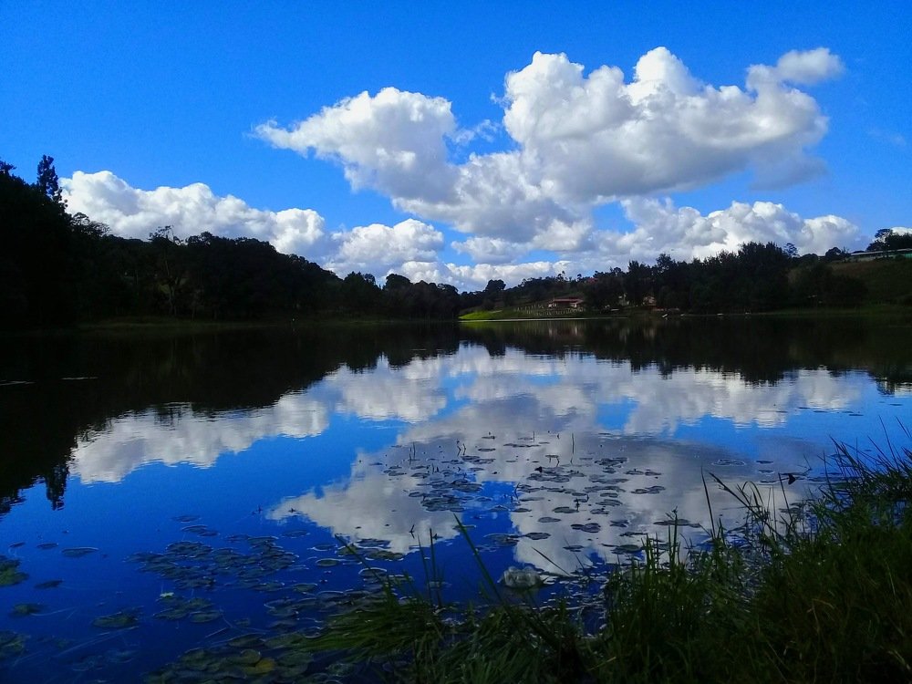 Photo #4617839