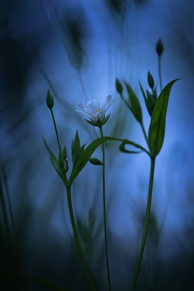 Photograph by Сергей Троицкий