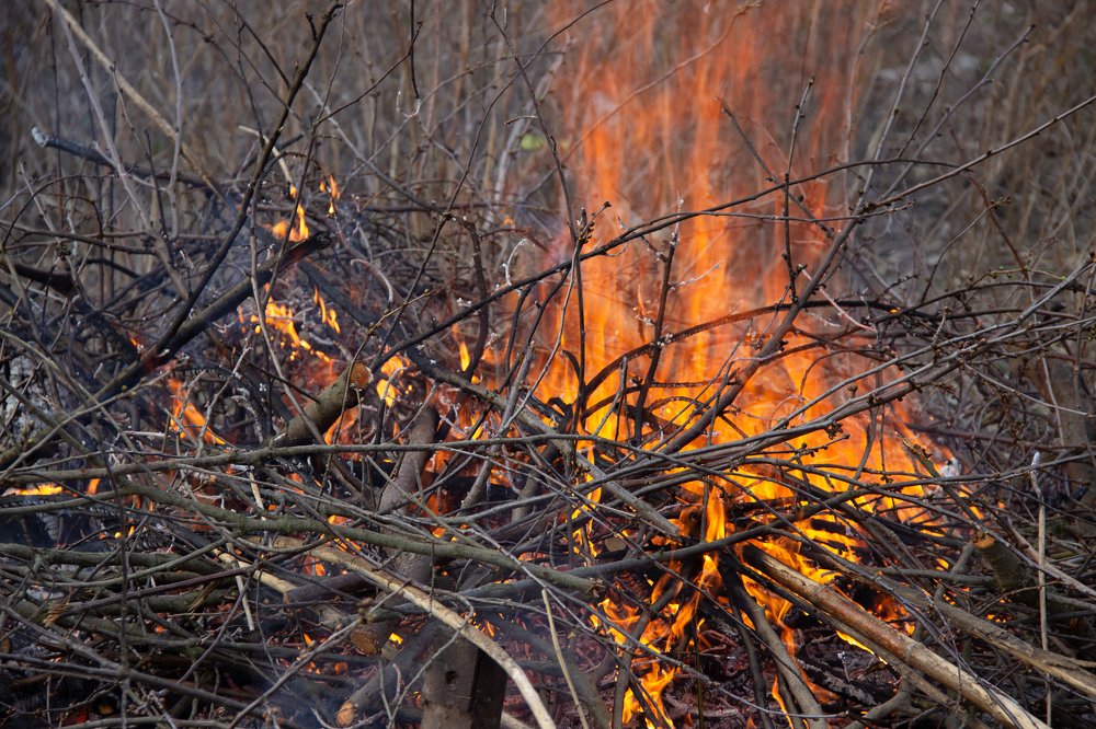 Photograph by Елена Демочкина