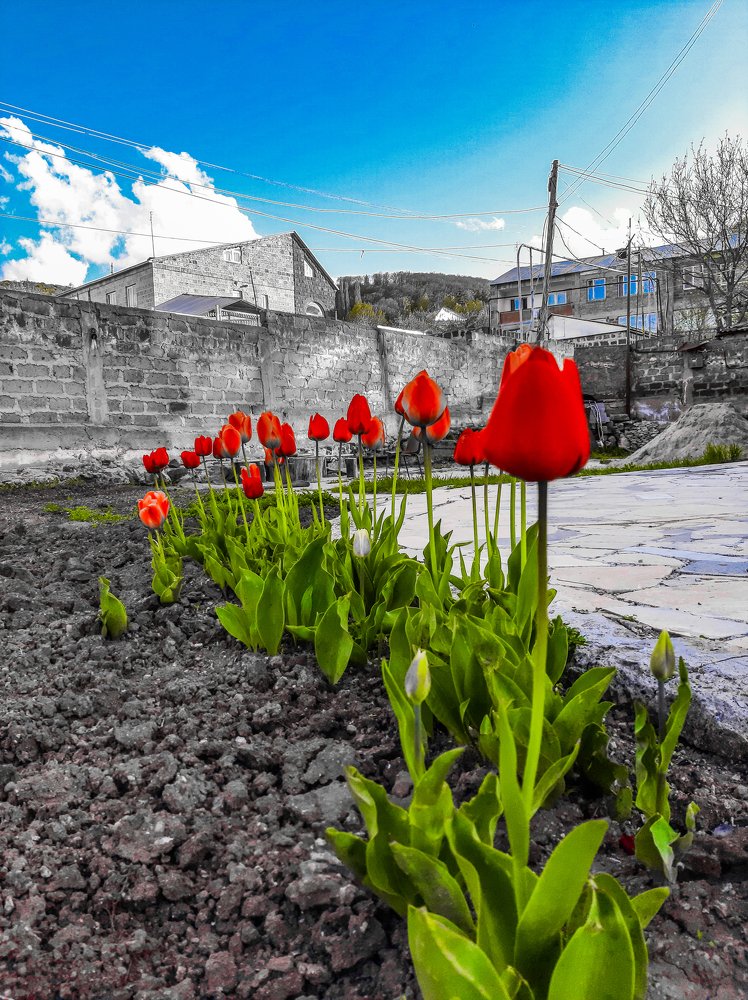 Photograph by Каринэ Асатрян