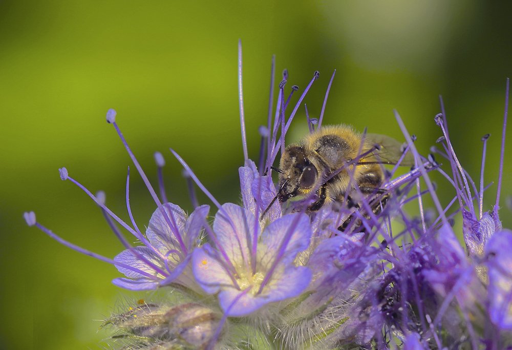Photograph by Басыров Валерий