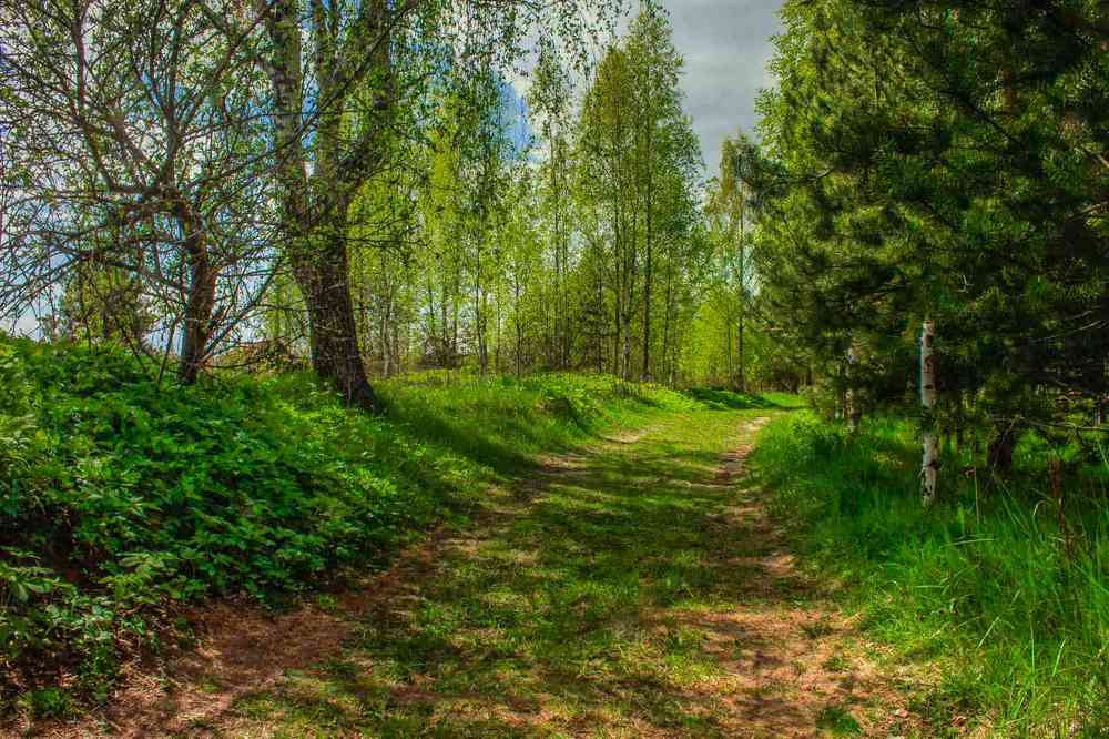 Photograph by Анна Свиридова