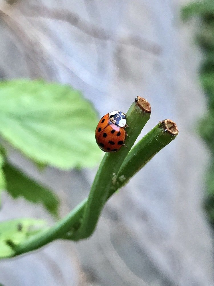 Photograph by Анастасия Казанцева