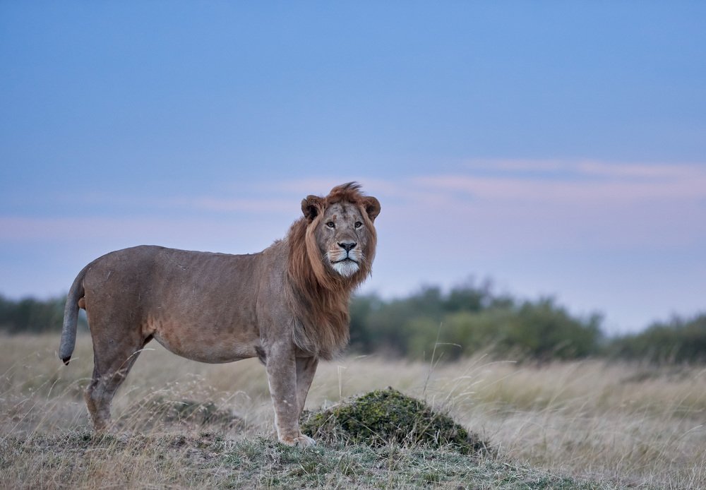 What defines us is how well we rise after falling.....