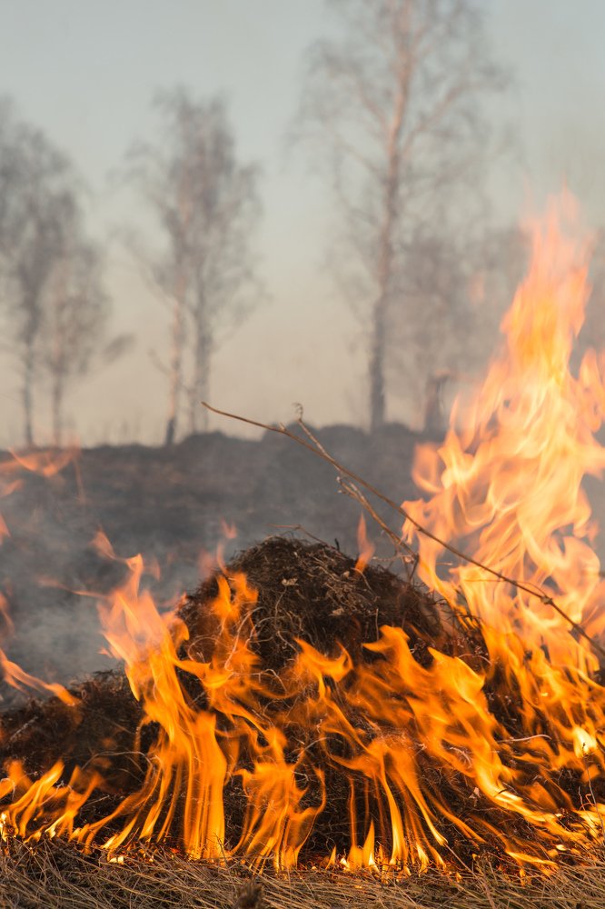 Фотография автора Ольга Гордеева