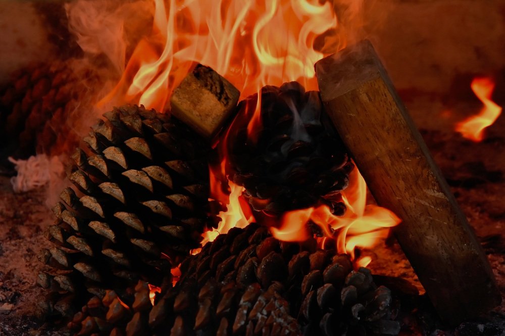 Photograph by Francisco Ferreira