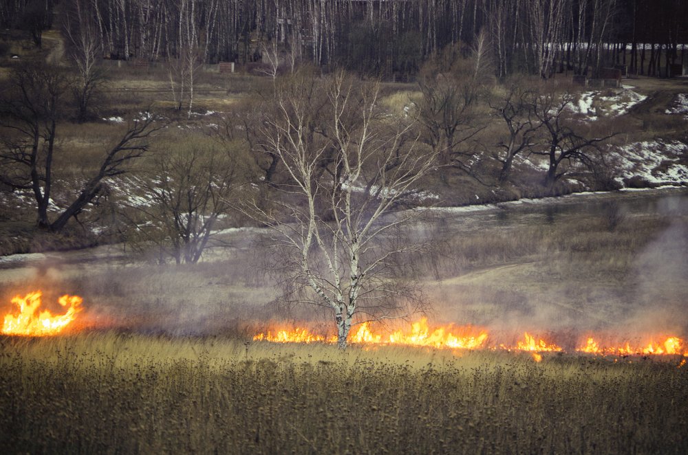 Фотография автора Марина Савчиц