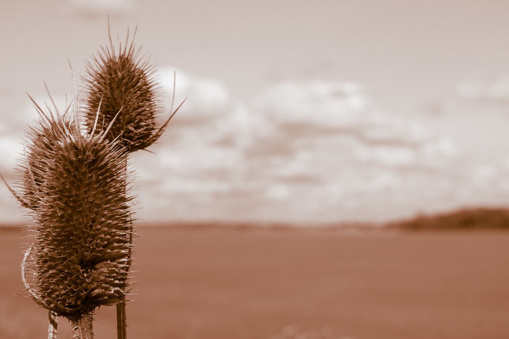 Photograph by Željko Rajčević