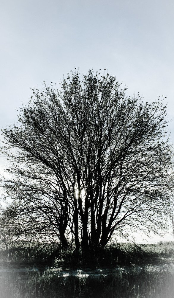 Photograph by Željko Rajčević