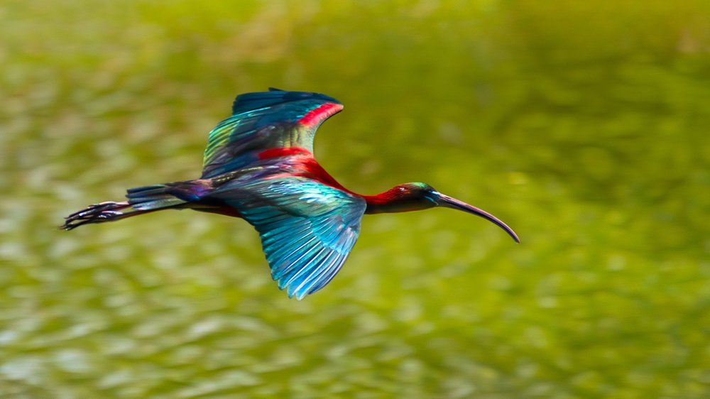 Photograph by David Lerer