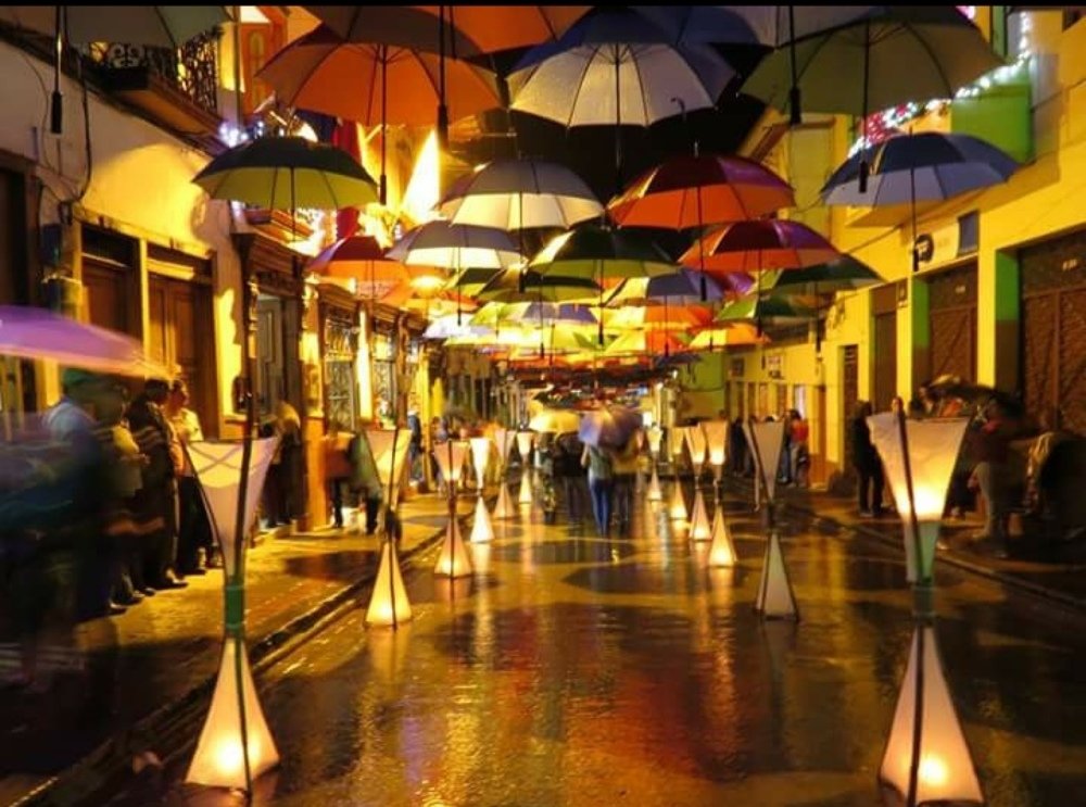 Photograph by Liz Gallego