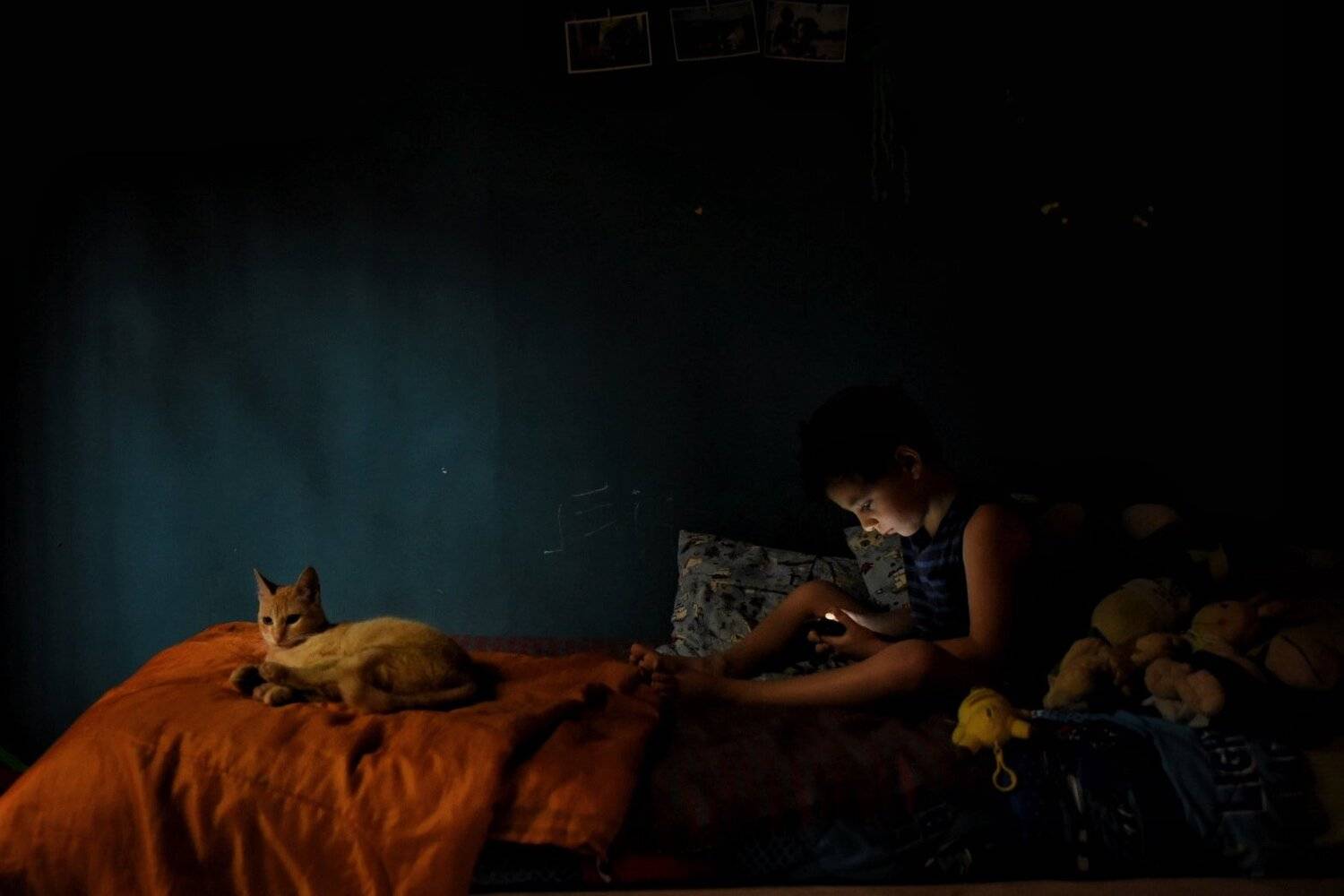 Photo #4618634