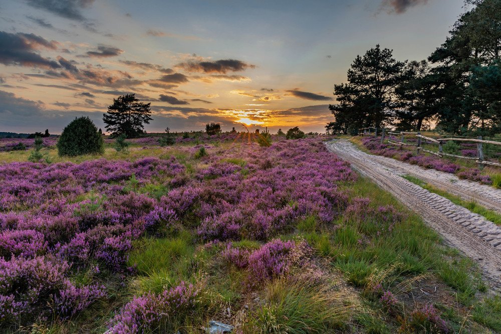 Photograph by Евгения Чех