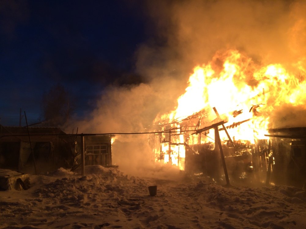 Photograph by Надежда Заломаева