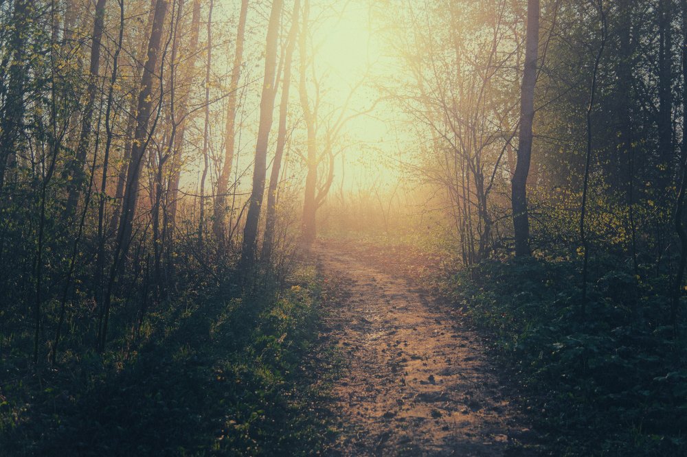 Photograph by Пётр Калачев