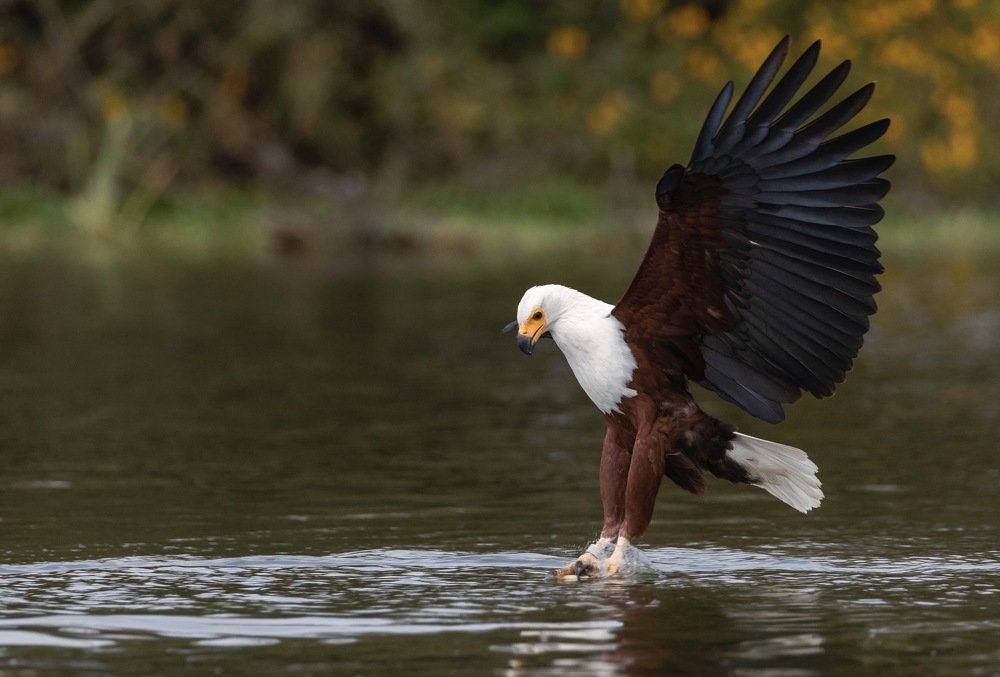 Photograph by Nagarajan P