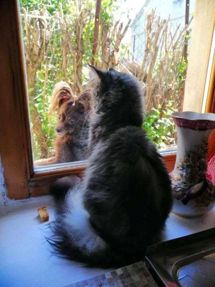 Междусобойчик