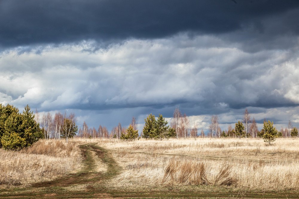 Перед грозой