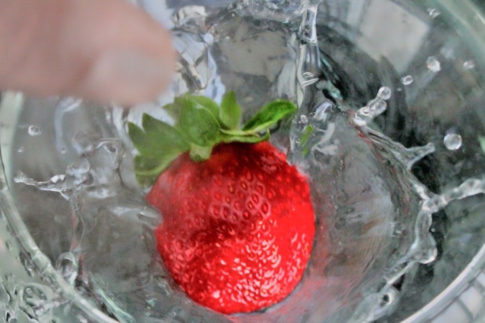 Photograph by Francisco Ferreira