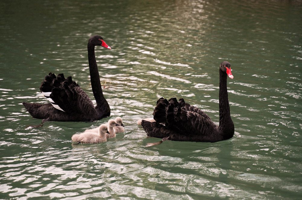 Photograph by Павел