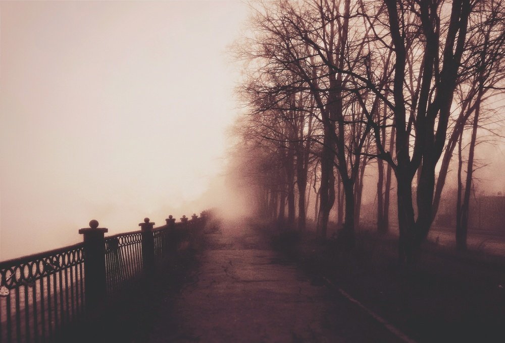 Photograph by Анатолий Жуков