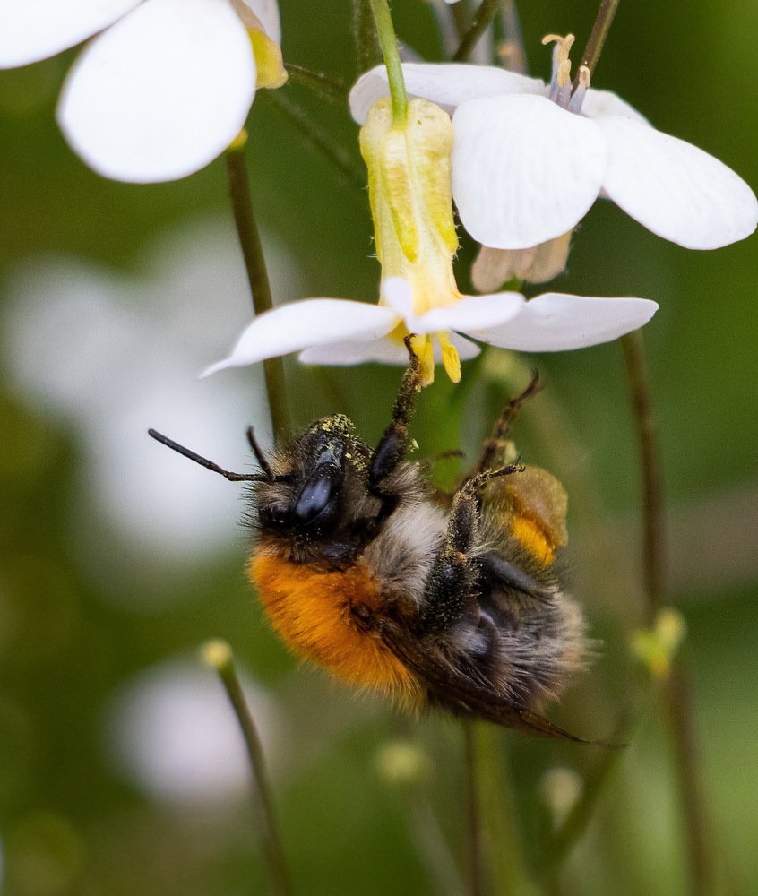 Photograph by Евгений Михеев