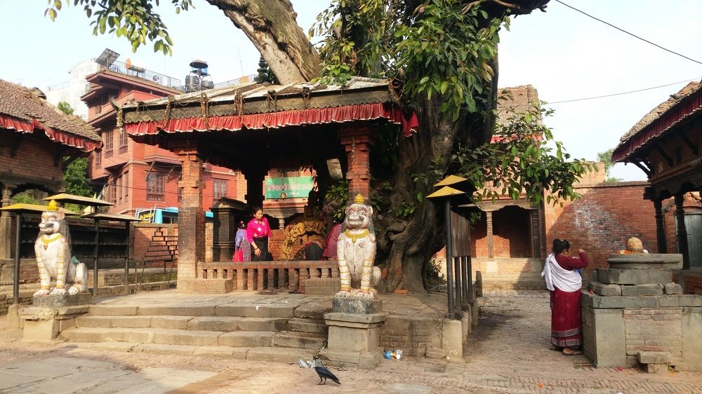 Photograph by Nishant Koju