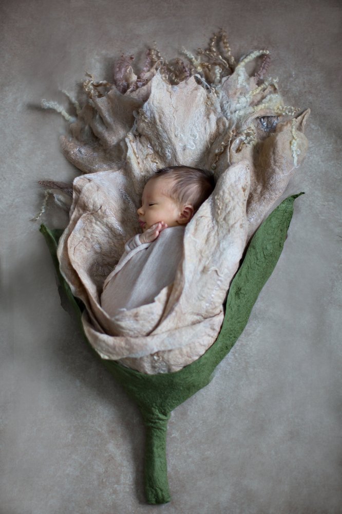 Photograph by Наталья Альбрехт