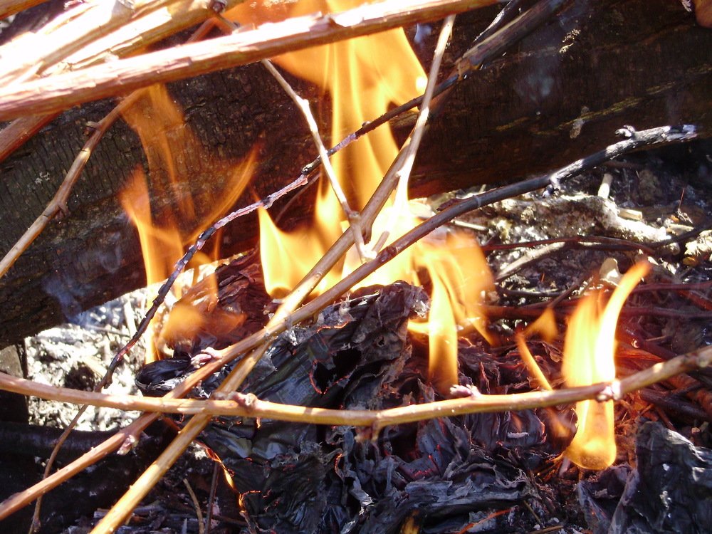 Photograph by Наталья Сазонова