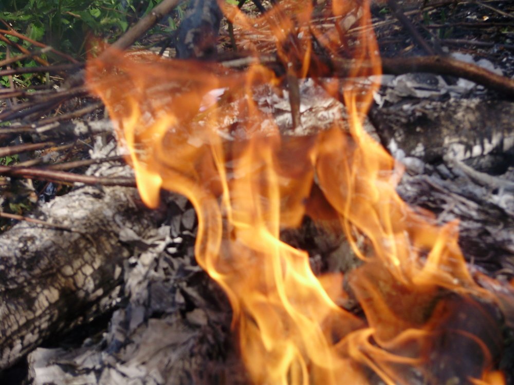 Photograph by Наталья Сазонова