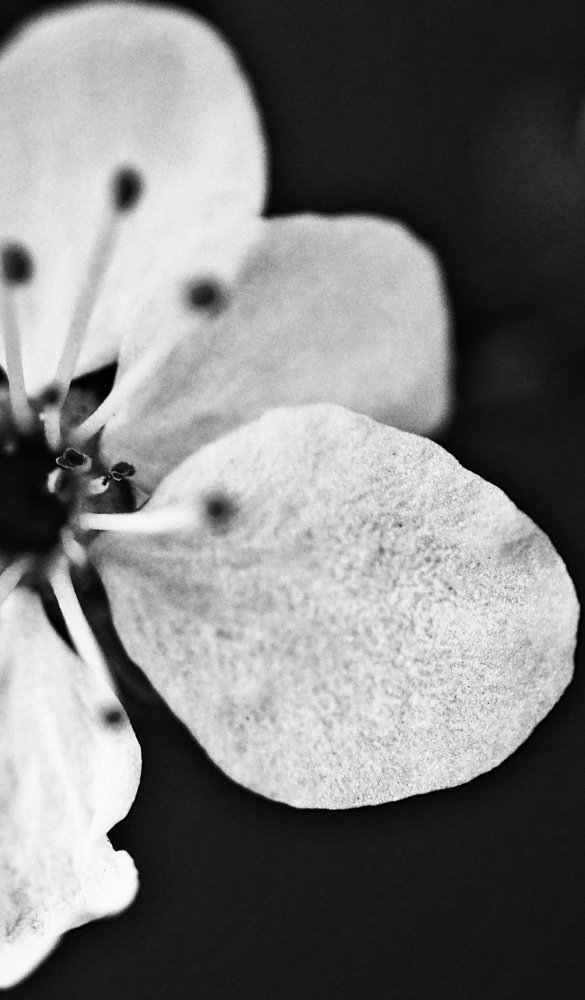 Фотография автора Judita L.