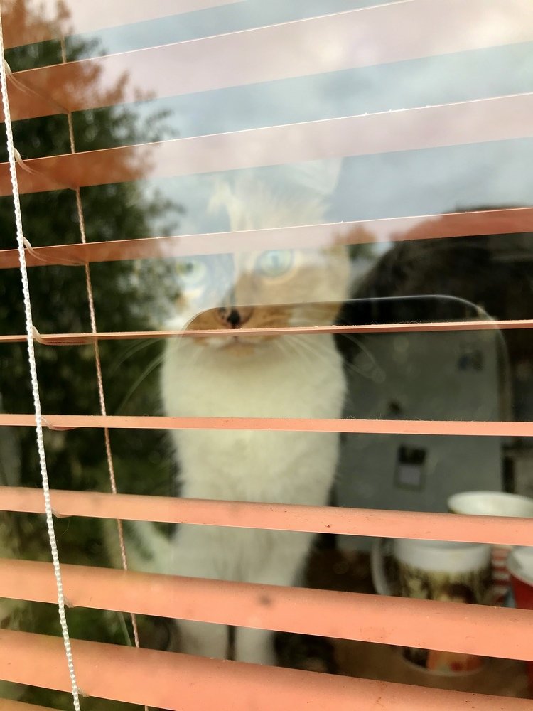 Photograph by Иван Серебряков