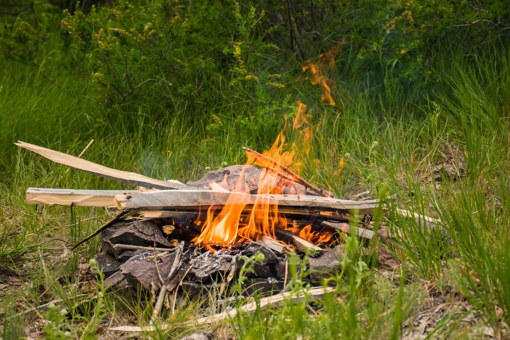 Photograph by Елена Прохорова